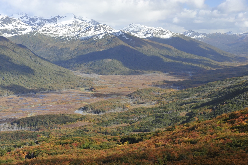 New Study: Worldwide, Carbon-Rich Peatlands are Dangerously Under-Protected 